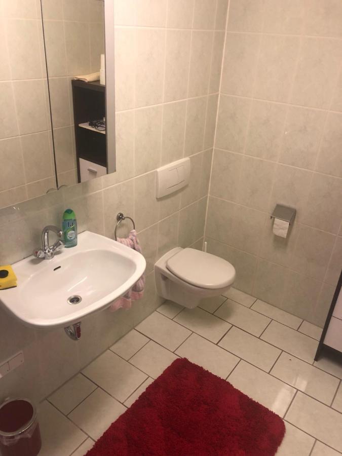 1-Zimmer Apartment, 45 Qm, Im Weinort Neustadt-Duttweiler Neustadt an der Weinstrasse Exterior photo